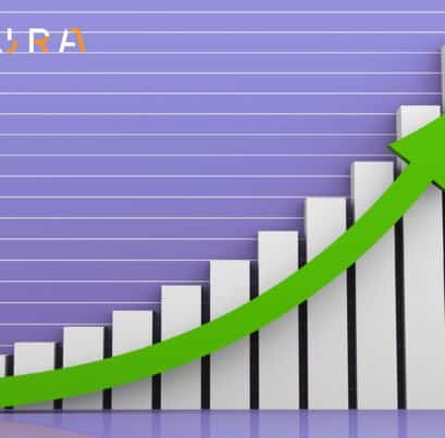 Maximize eCommerce Profitability